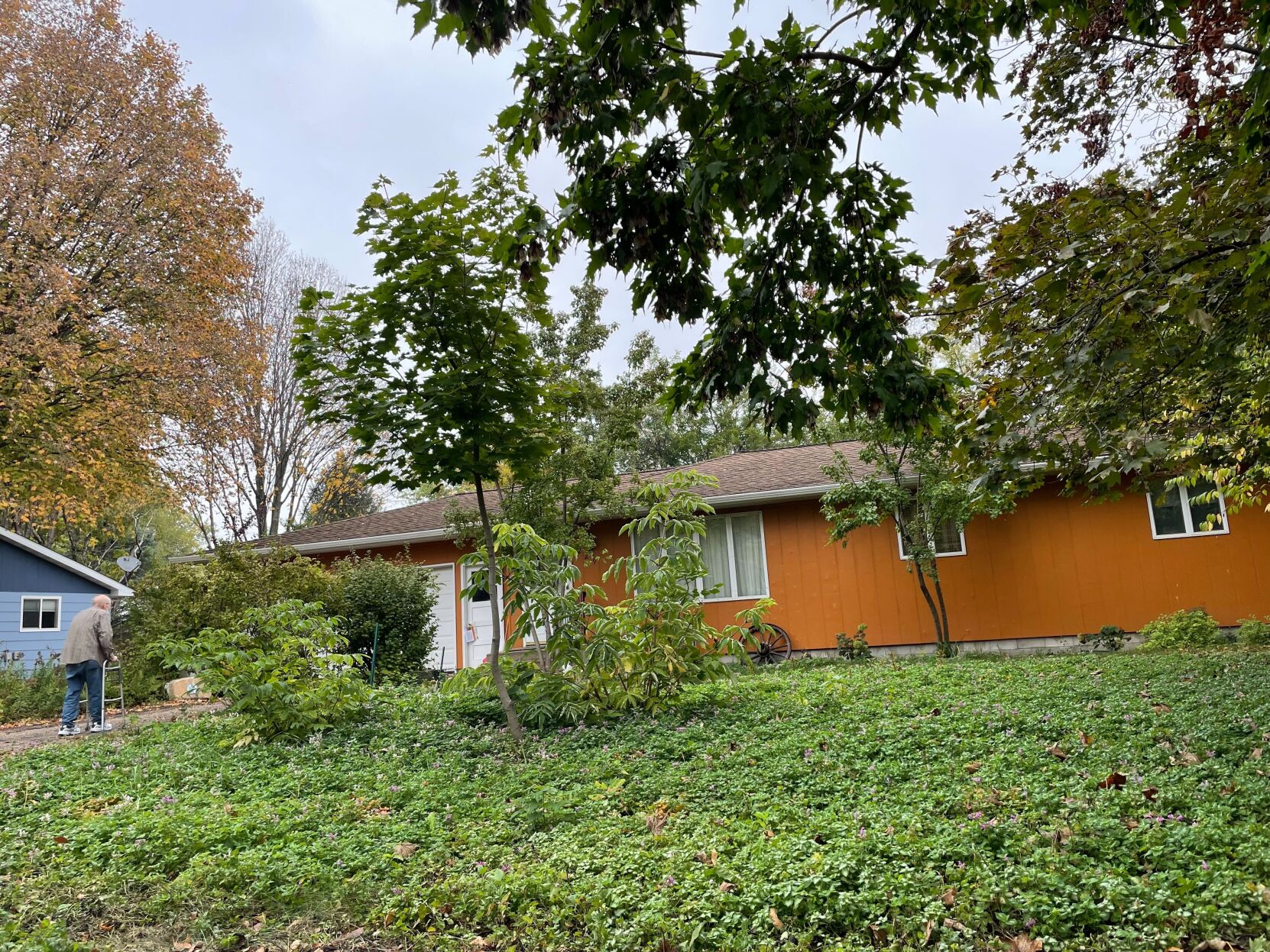 Borchardt frontyard
